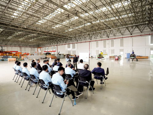 广播电视节目制作经营 创意、制作与管理的艺术