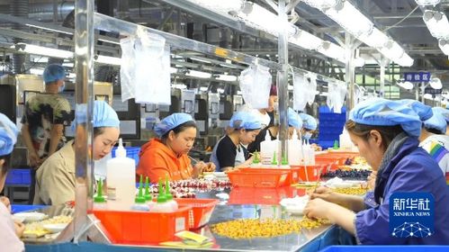 产业引领 绘就强村富民新画卷——广播电视节目制作经营的乡村赋能之路